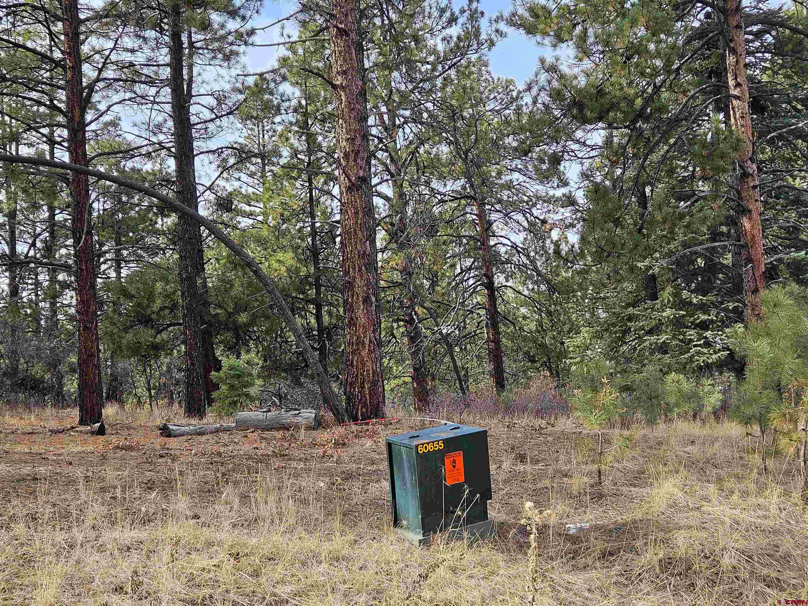 Tbd Tbd Albert Place Chromo, CO 81128 - Photo 18 of 31 a view of a trees with a tree