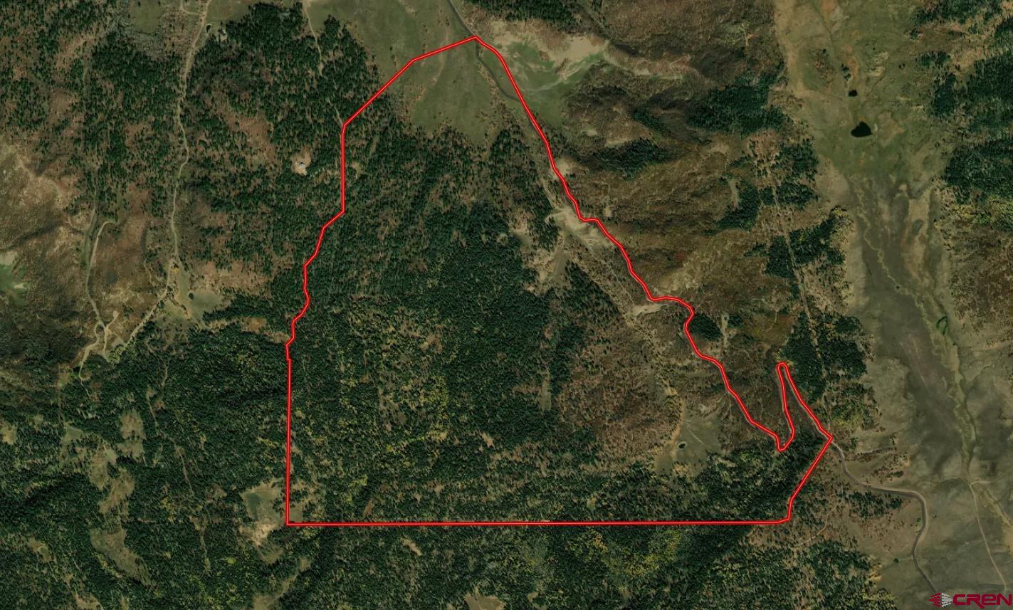 Tbd Tbd Albert Place Chromo, CO 81128 - Photo 22 of 31 a view of a yard