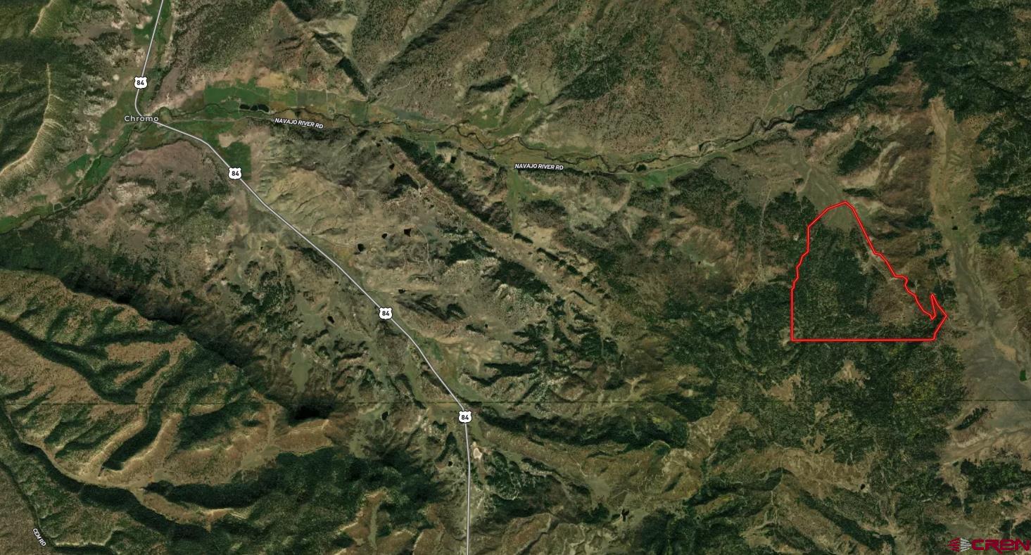 Tbd Tbd Albert Place Chromo, CO 81128 - Photo 23 of 31 a view of a forest