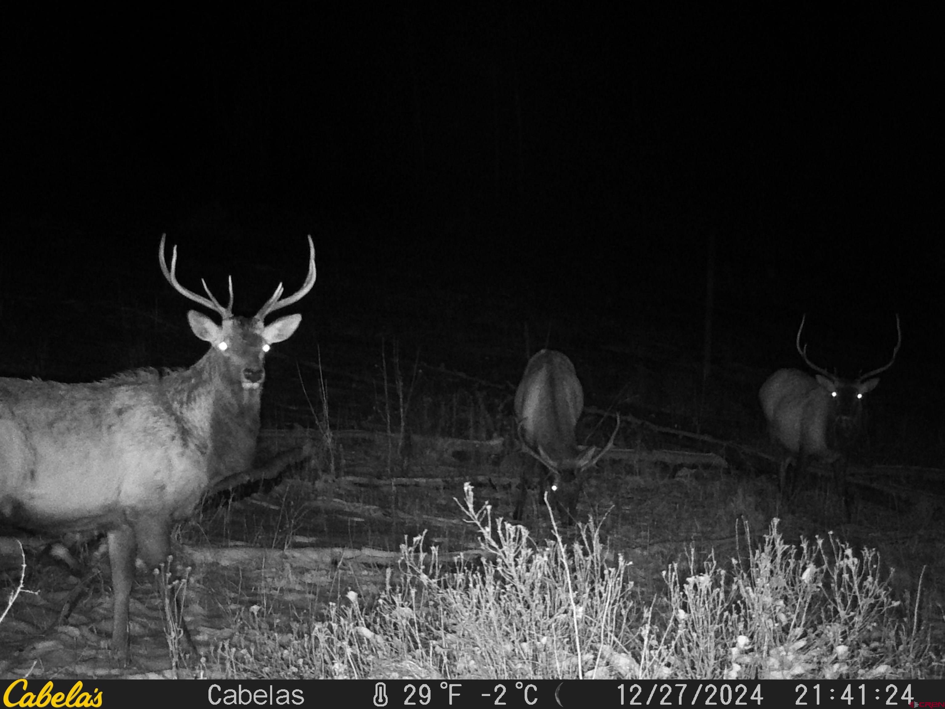 Tbd Tbd Albert Place Chromo, CO 81128 - Photo 25 of 31 a close view of water heater