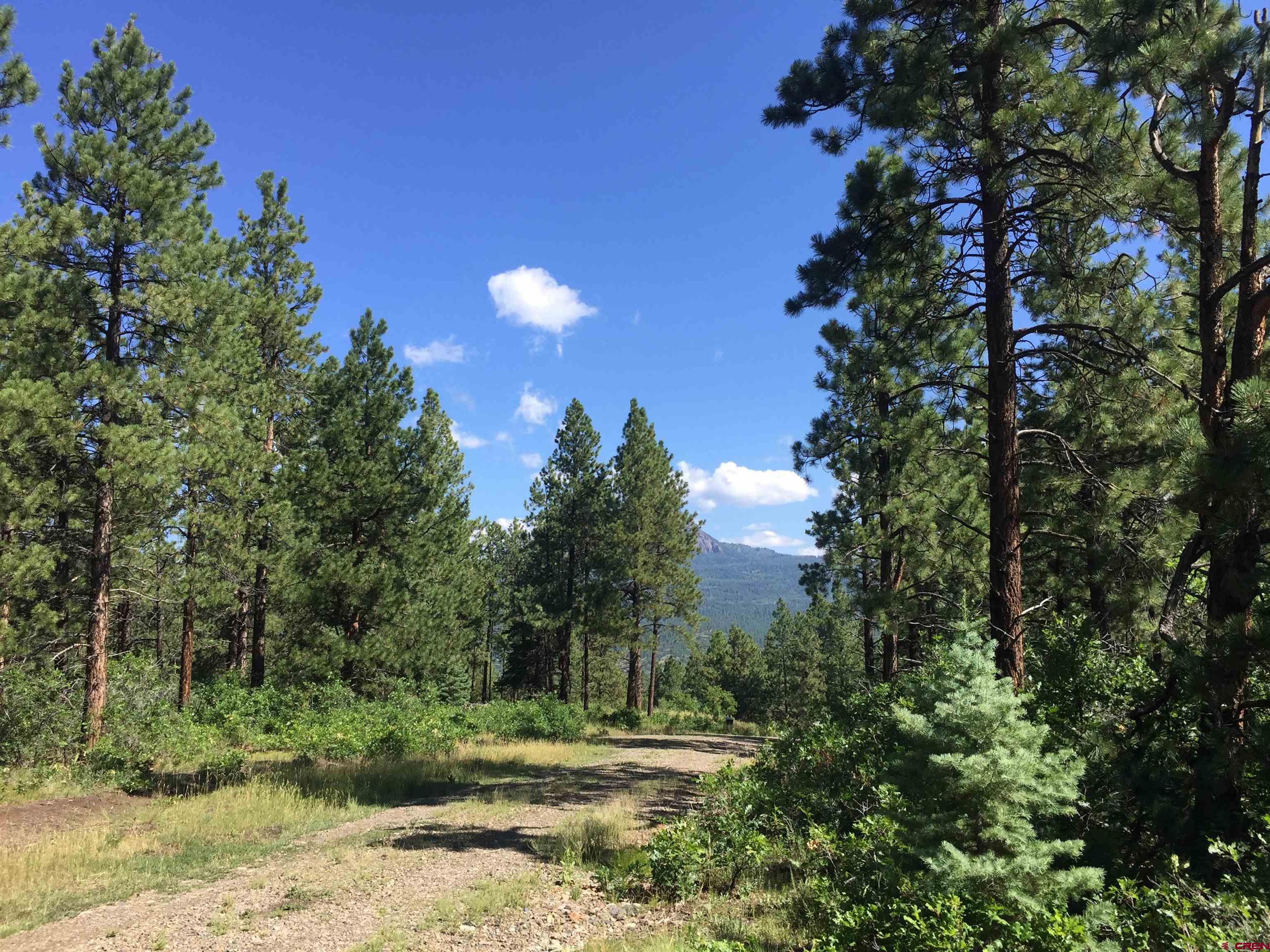 Tbd Tbd Albert Place Chromo, CO 81128 - Photo 29 of 31 a view of outdoor space and yard