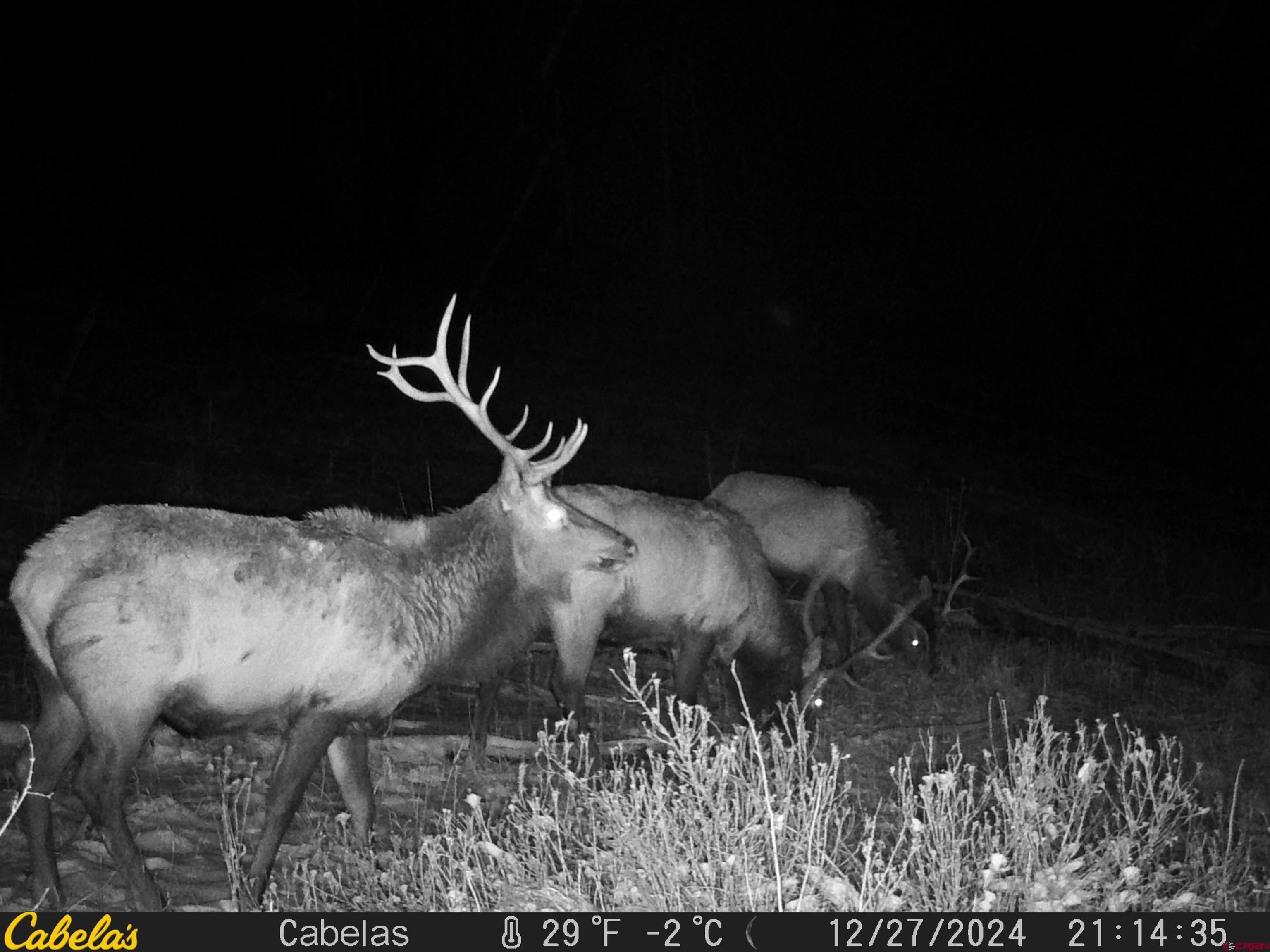 Tbd Tbd Albert Place Chromo, CO 81128 - Photo 3 of 31