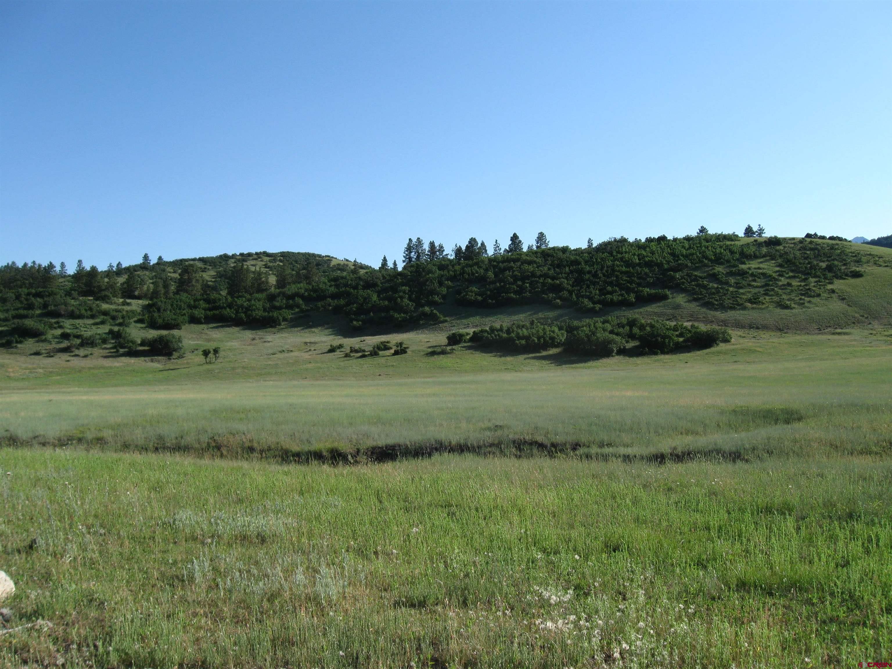 Tbd Tbd Albert Place Chromo, CO 81128 - Photo 31 of 31 a view of a lush green field