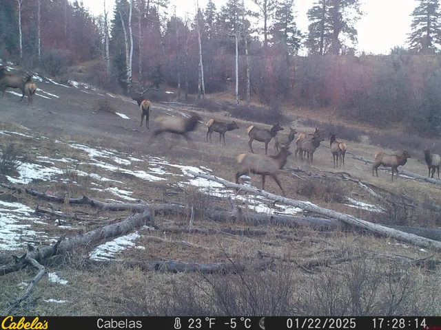 a swimming pool with an outdoor space