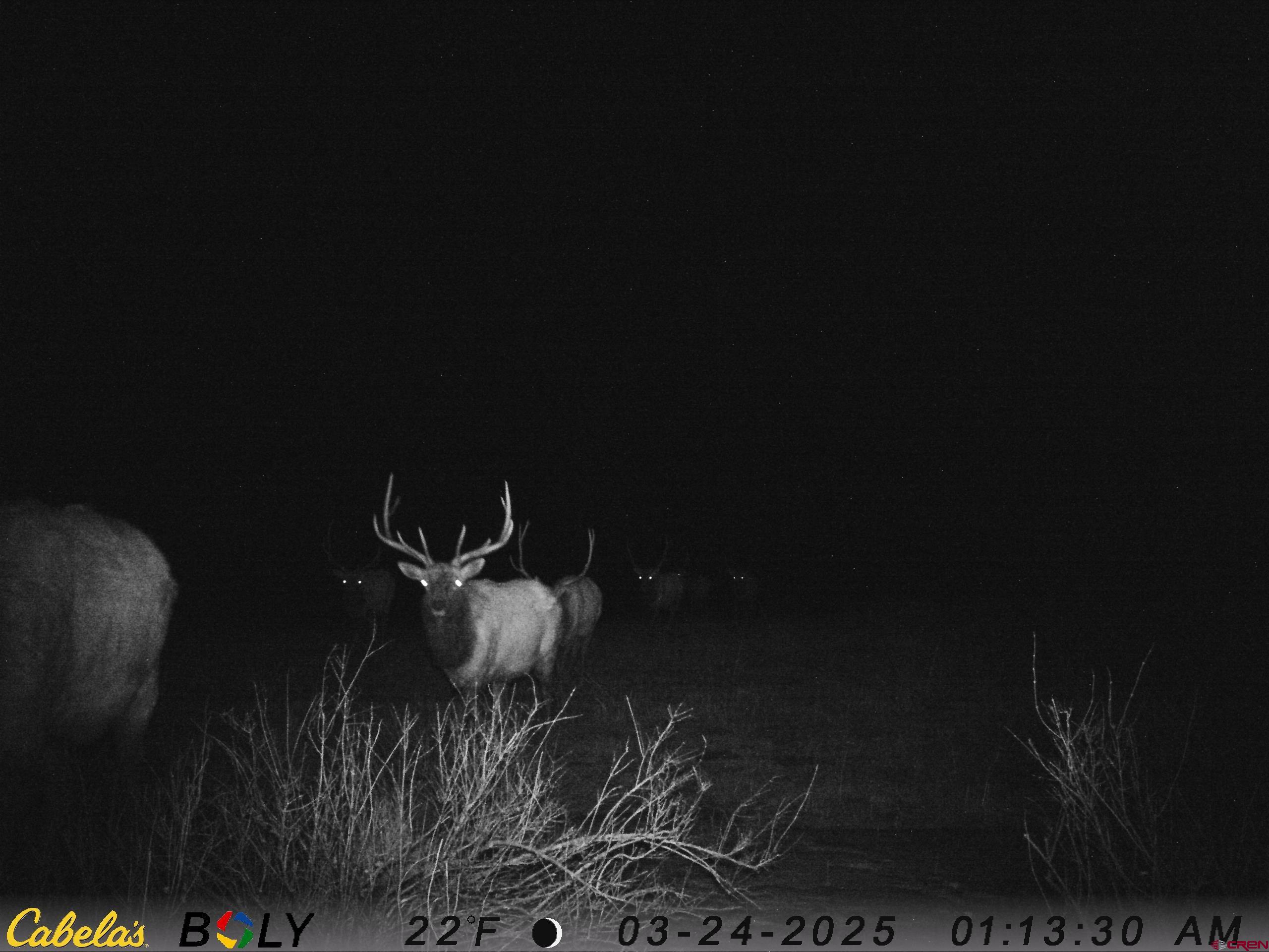 Tbd Tbd Albert Place Chromo, CO 81128 - Photo 6 of 31