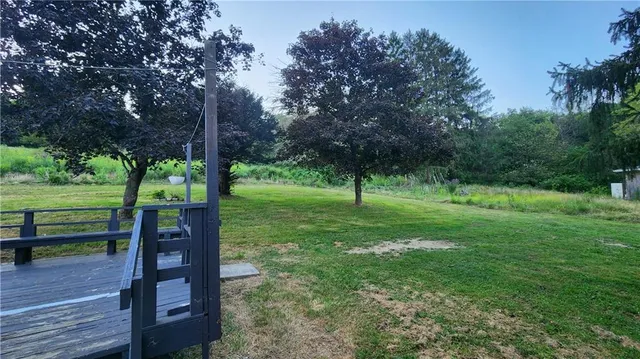 a view of a park entertaining space with large trees