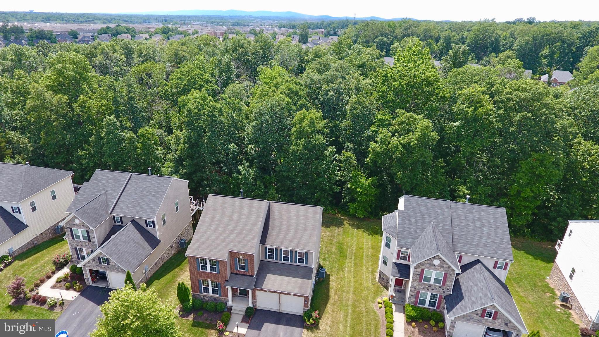 23291 Virginia Rae Court Ashburn, VA 20148 - Photo 27 of 50