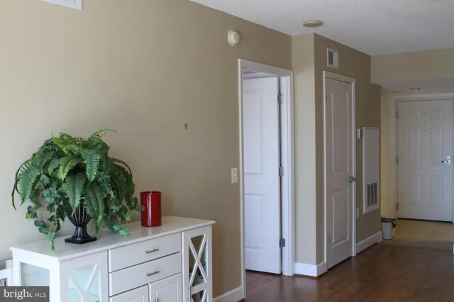 a room with a potted plant and a counter space