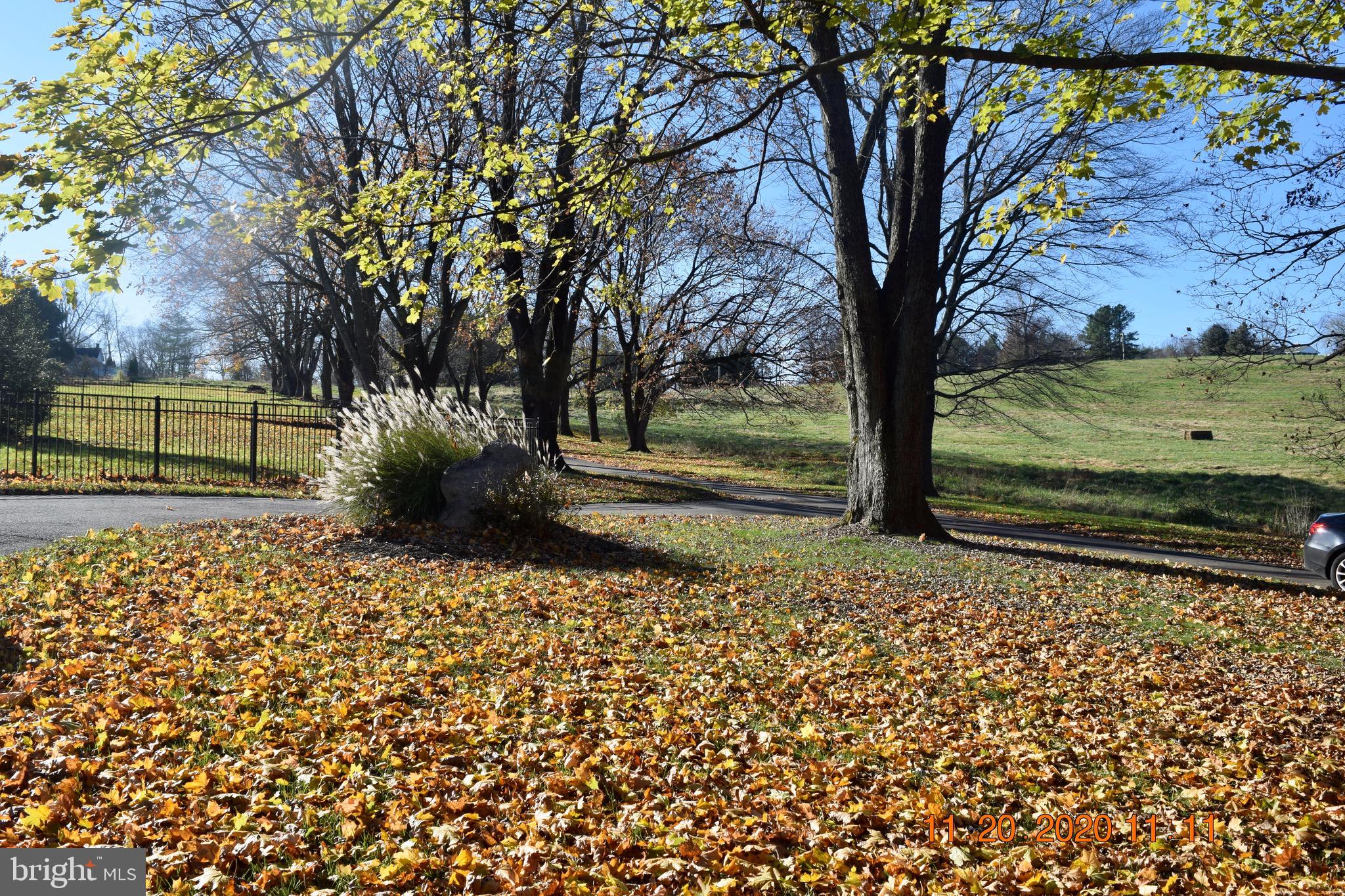 34 Wedgewood Road Newark, DE 19711 - Photo 40 of 42 Gorgeous view from outside garage