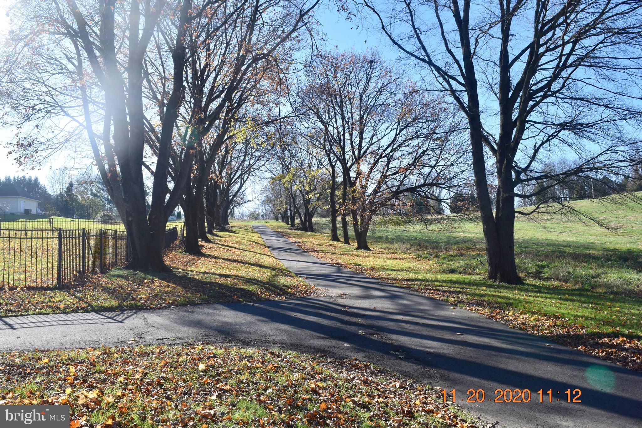 34 Wedgewood Road Newark, DE 19711 - Photo 8 of 42 Long Private driveway!