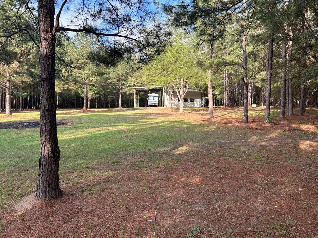 1532 Bold Springs Road Ochlocknee, GA 31773 - Photo 15 of 23 Gallery Image 15