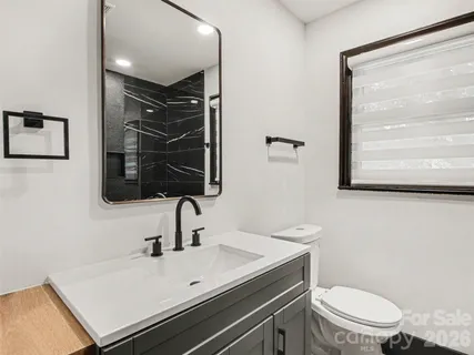 a bathroom with a sink a toilet and mirror
