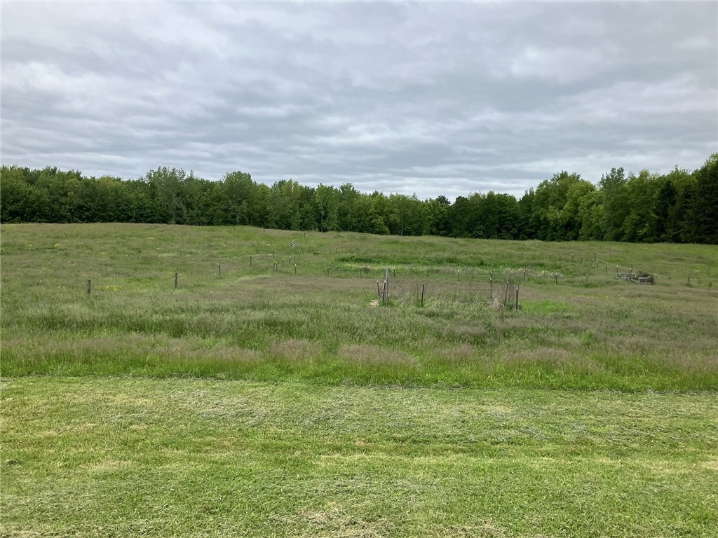 817 Whittier Road Ogden, NY 14559 - Photo 7 of 48 Back Acres