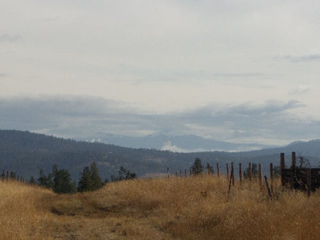 822 C Barzee Road Colville, WA 99114 - Photo 4 of 5 Gallery Image 4