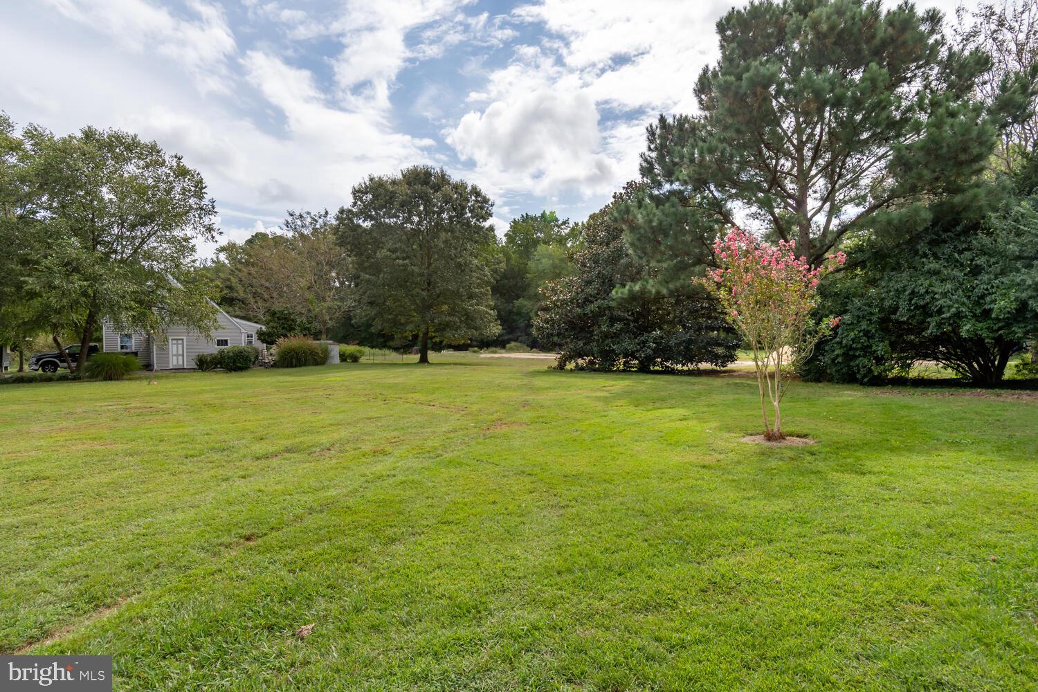 6957 Bellevue Road Royal Oak, MD 21662 - Photo 10 of 47 BACK LAWN