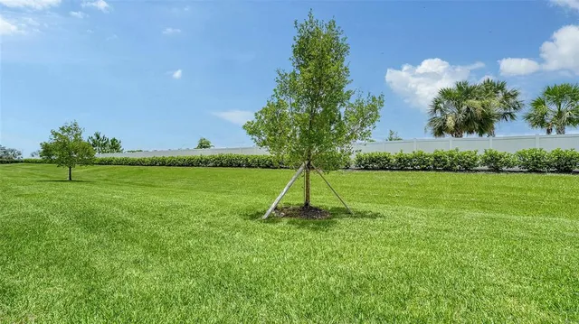 a view of a park with a slide