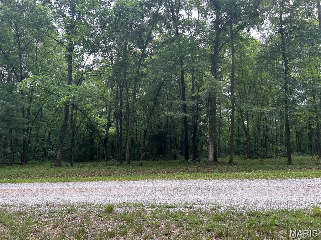 140 Jabin Farm Road Wright City, MO 63390 - Photo 45 of 45