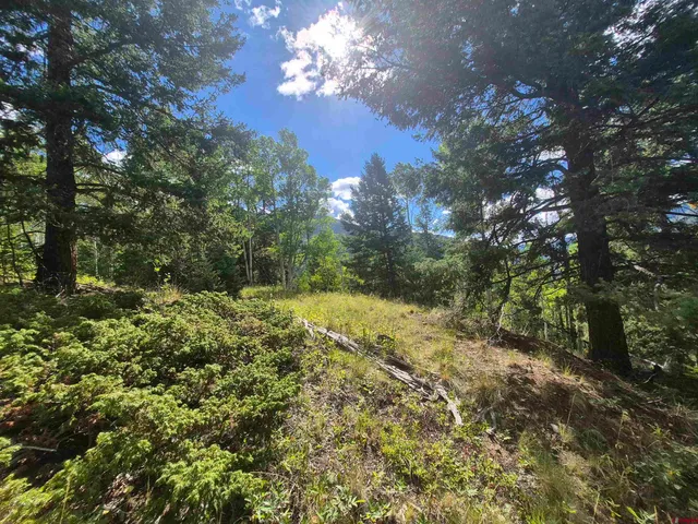 a view of a yard with a tree