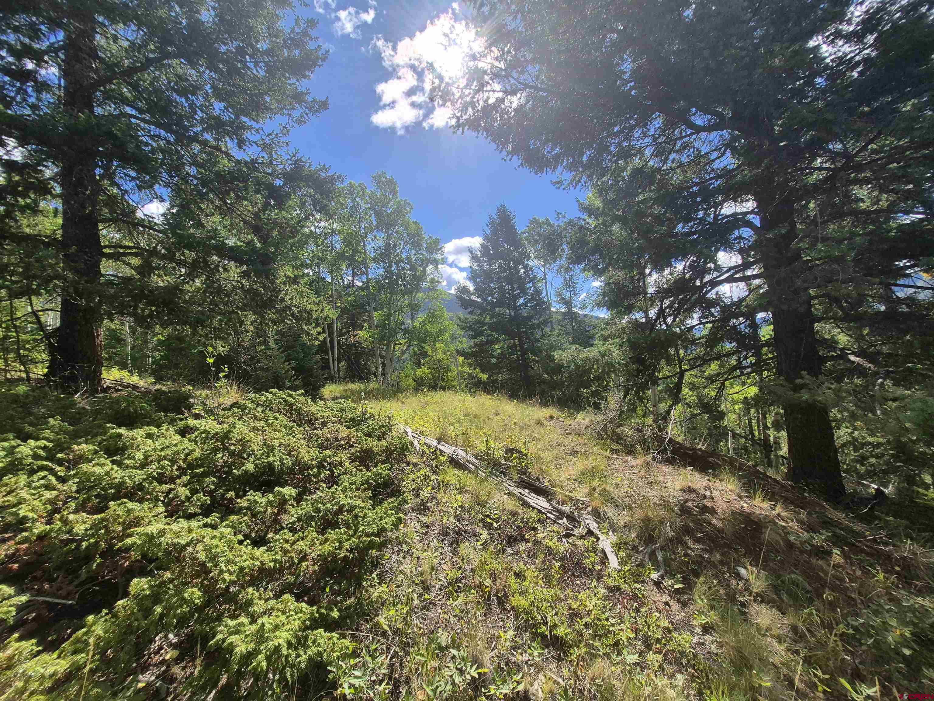89 Lots 4-6 Del Norte, CO 81132 - Photo 1 of 9 a view of a yard with a tree
