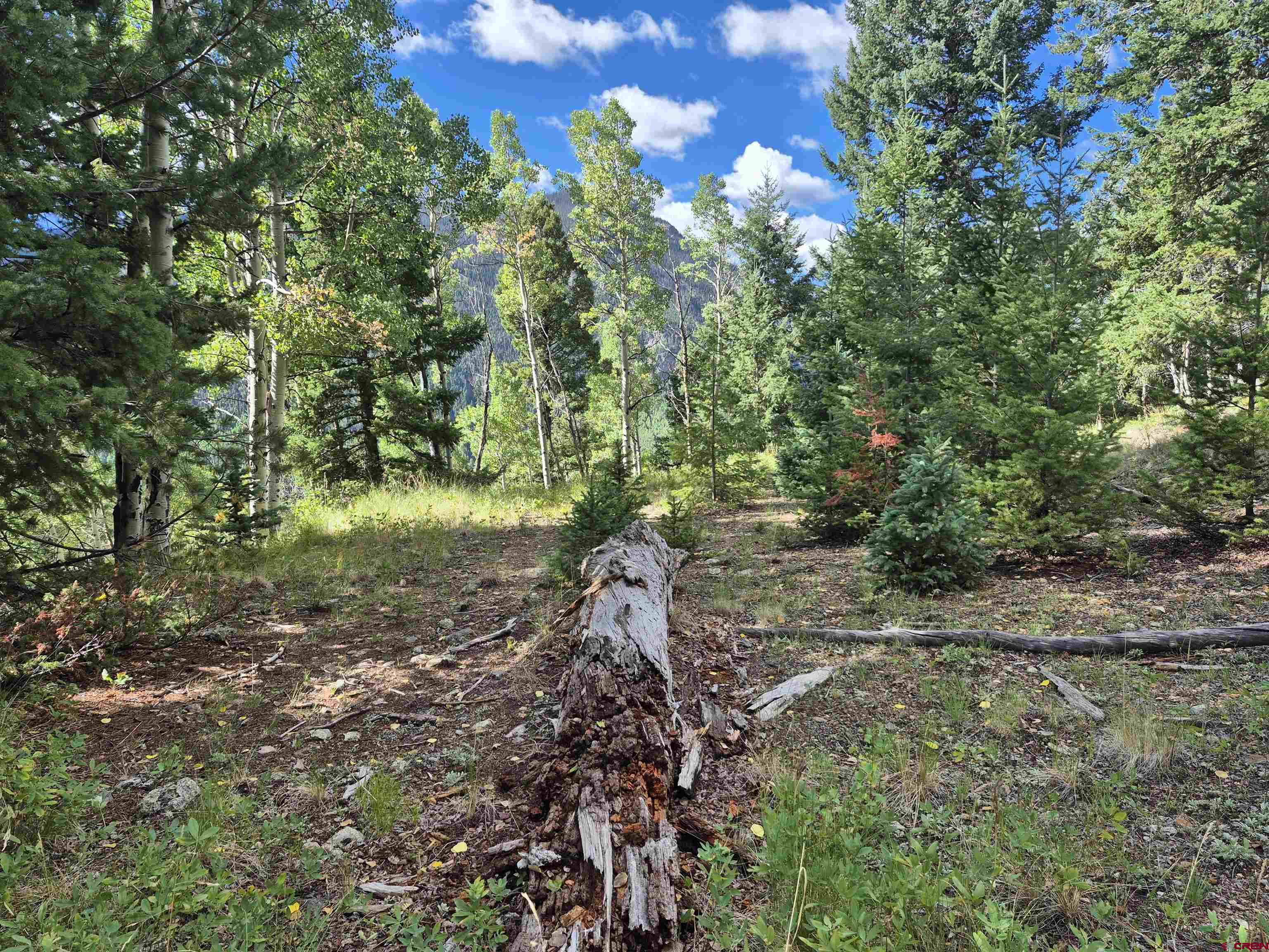 89 Lots 4-6 Del Norte, CO 81132 - Photo 2 of 9 a backyard of a house with lots of green space