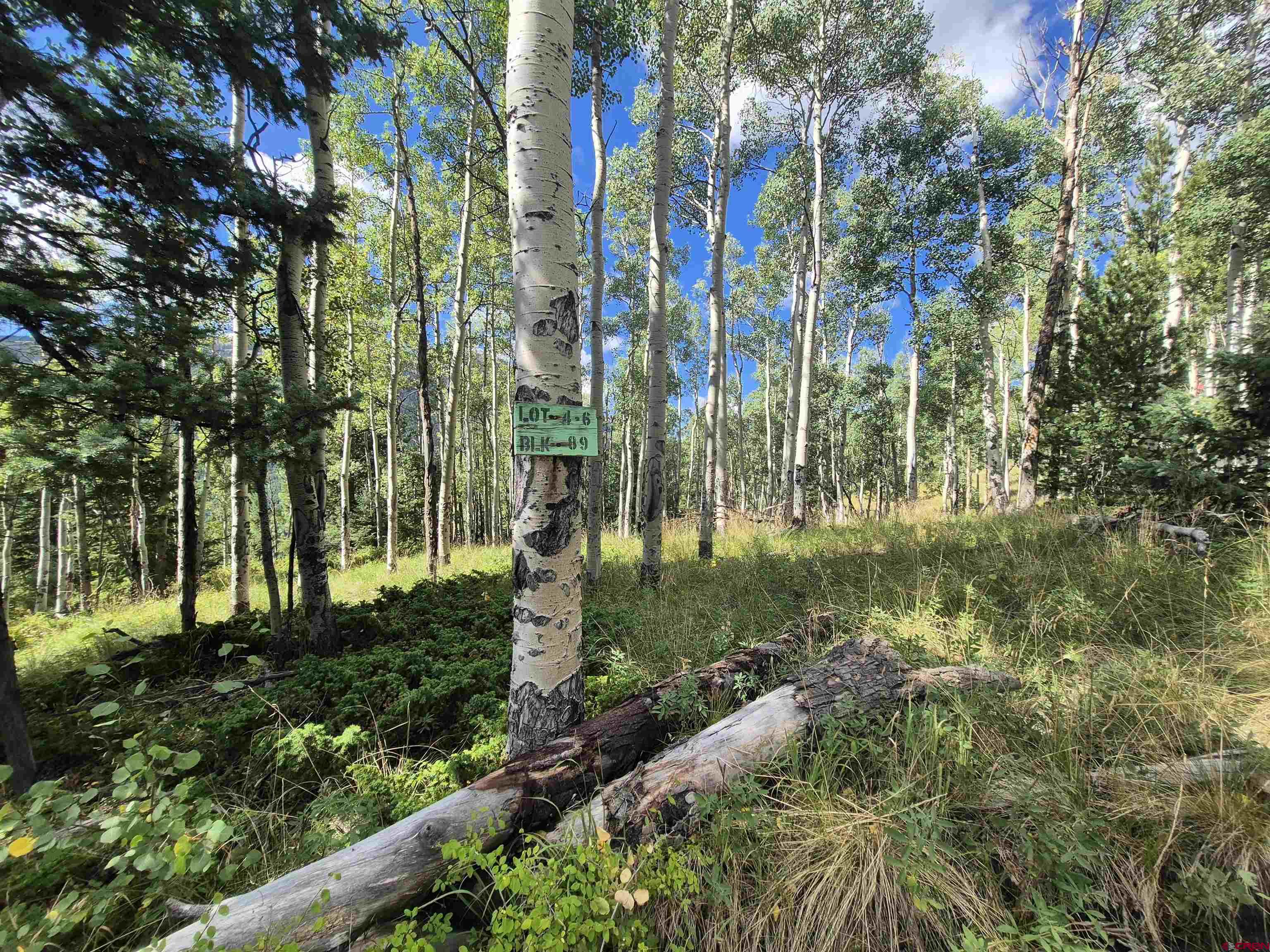 89 Lots 4-6 Del Norte, CO 81132 - Photo 3 of 9 a view of outdoor space and yard