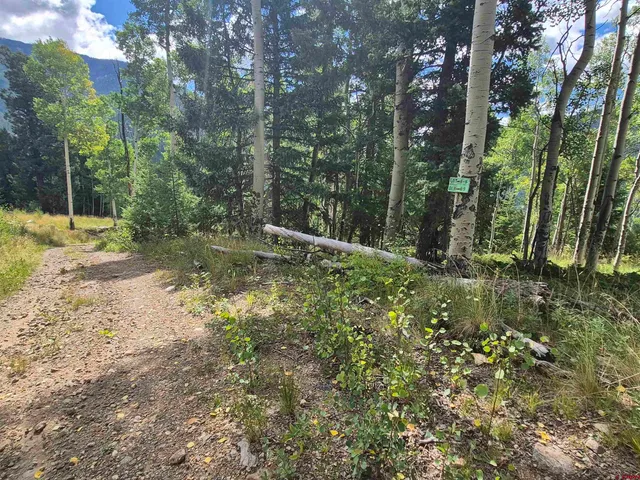 a big yard with lots of green space and house