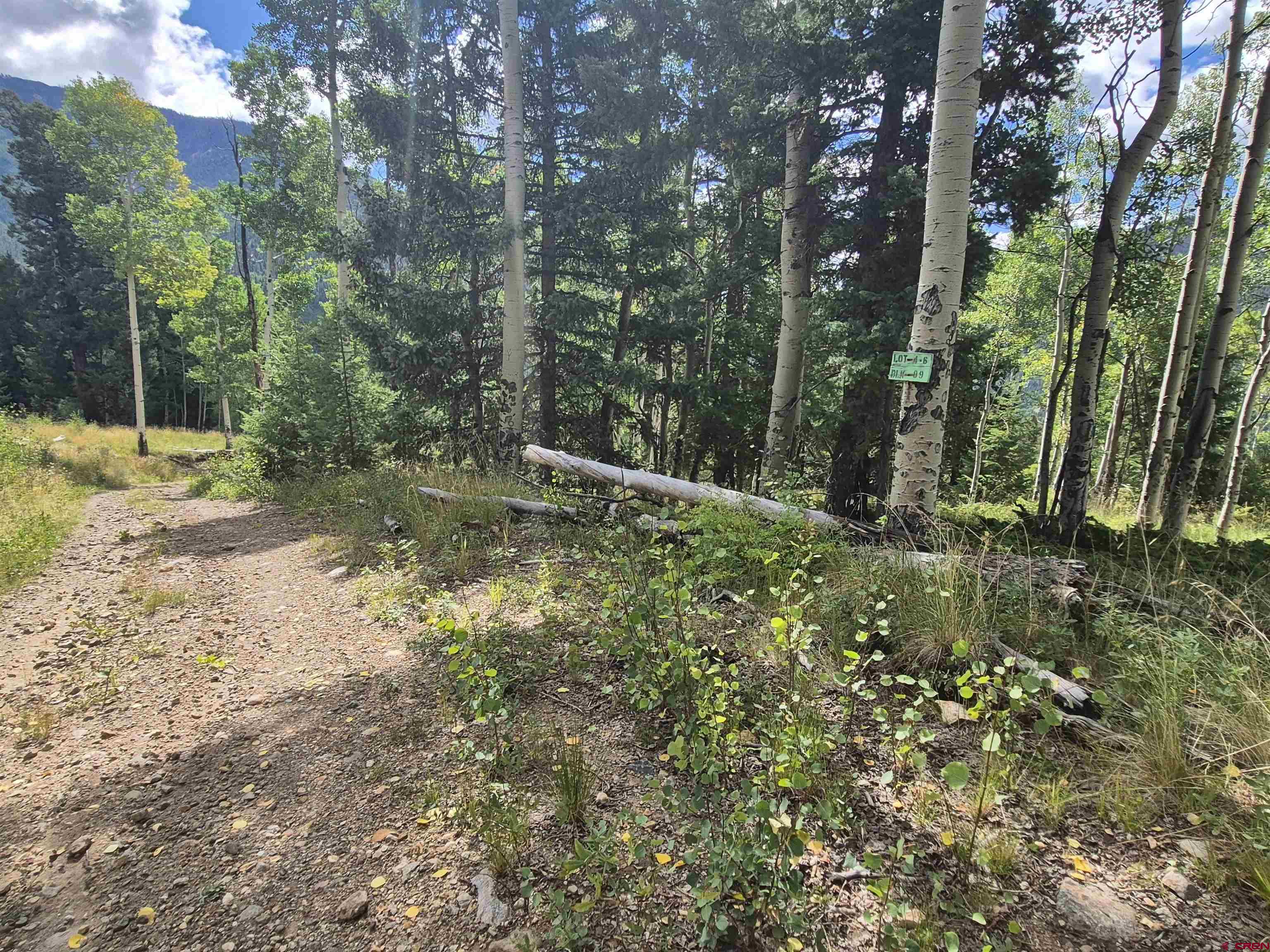 89 Lots 4-6 Del Norte, CO 81132 - Photo 4 of 9 a big yard with lots of green space and house