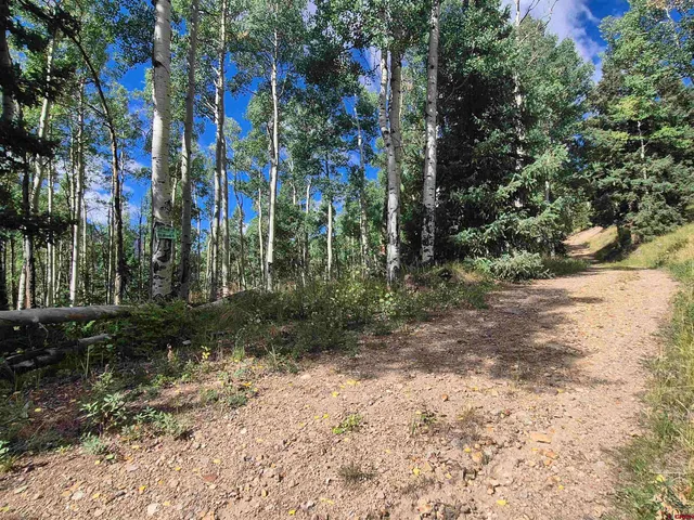 a view of a yard with plants and trees