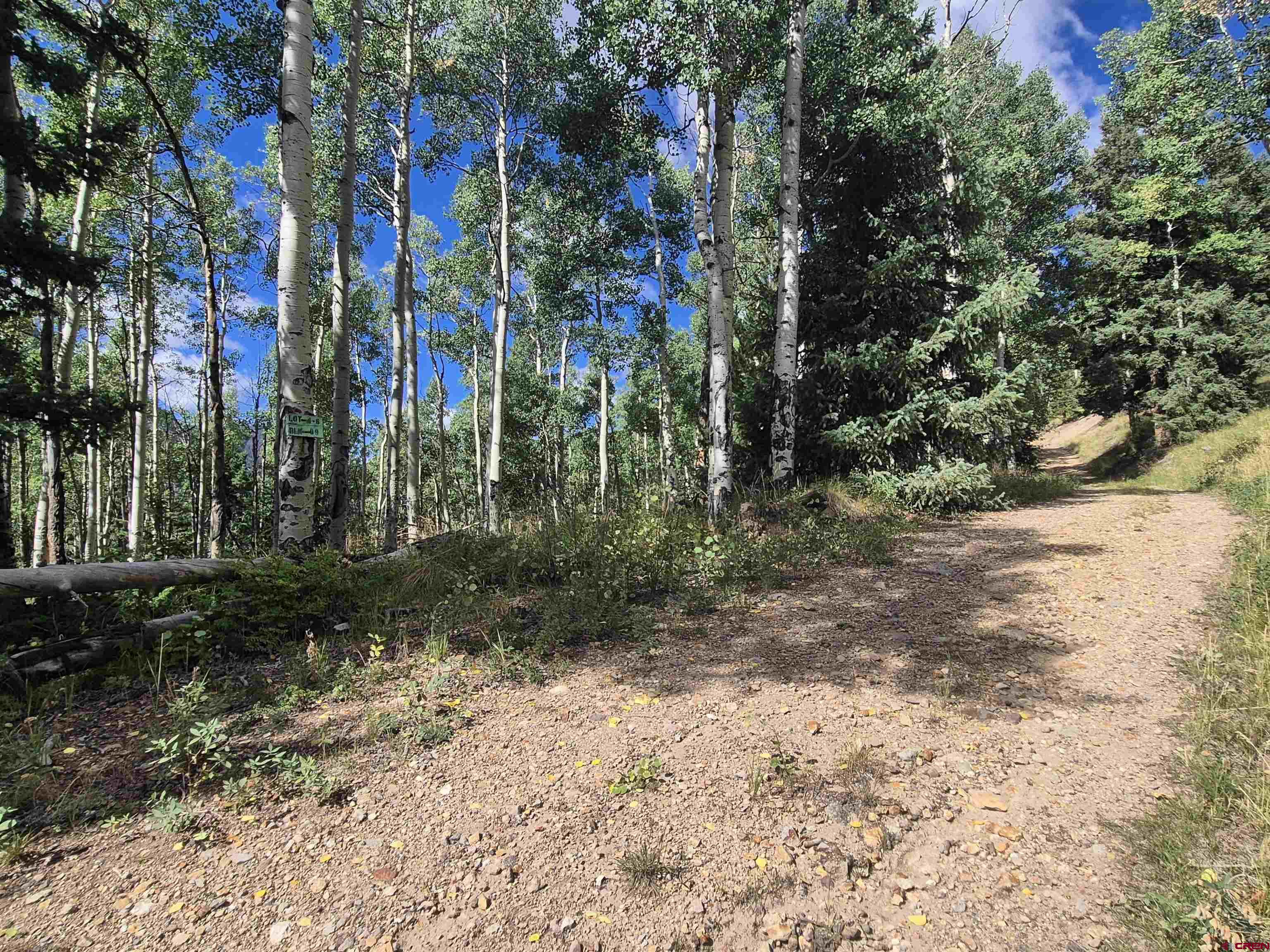 89 Lots 4-6 Del Norte, CO 81132 - Photo 5 of 9 a view of a yard with plants and trees