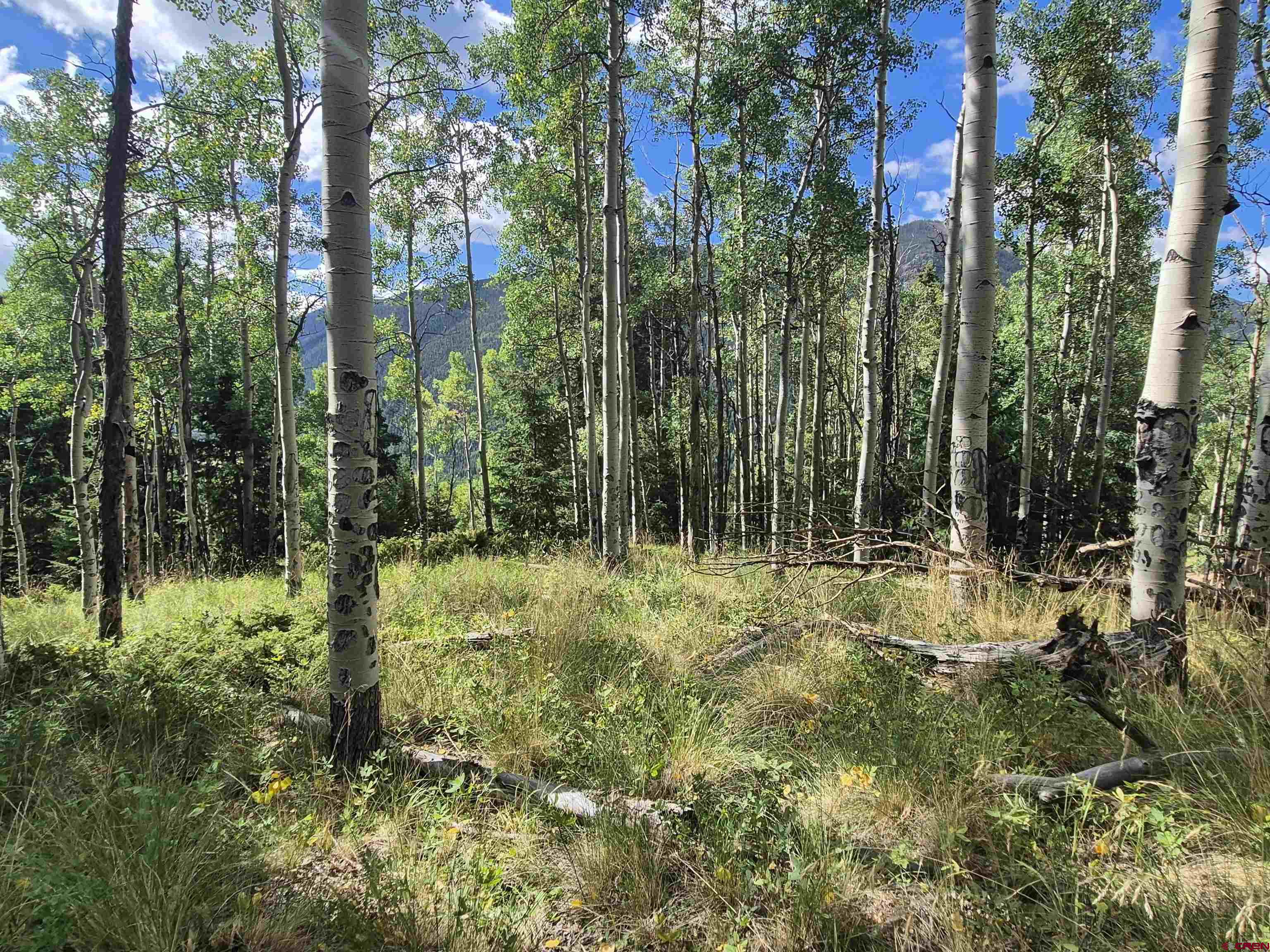 89 Lots 4-6 Del Norte, CO 81132 - Photo 6 of 9 a view of outdoor space and a yard