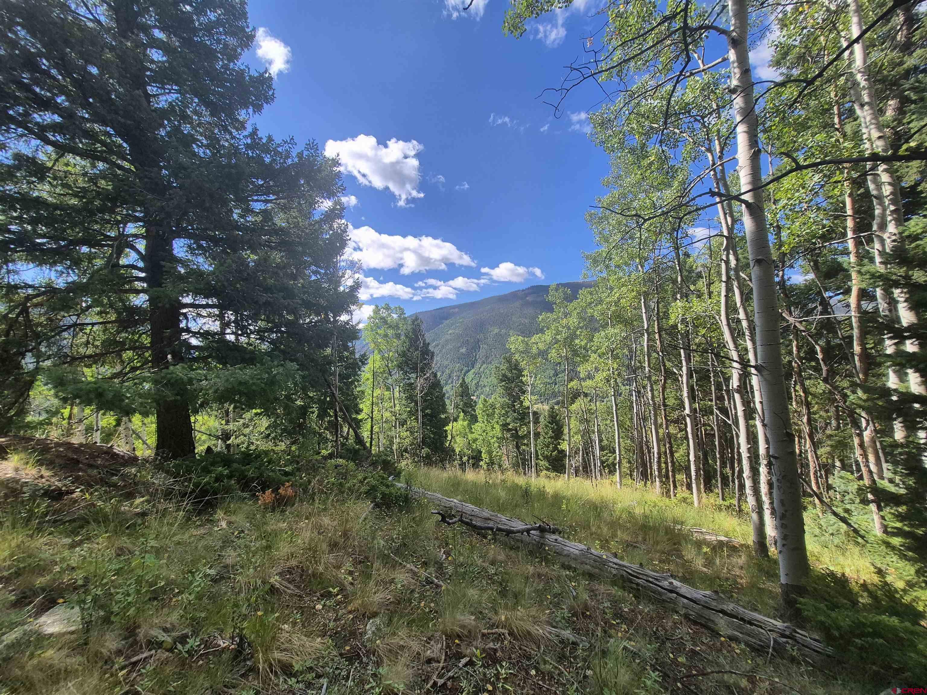 89 Lots 4-6 Del Norte, CO 81132 - Photo 7 of 9 a view of a yard with plants and trees