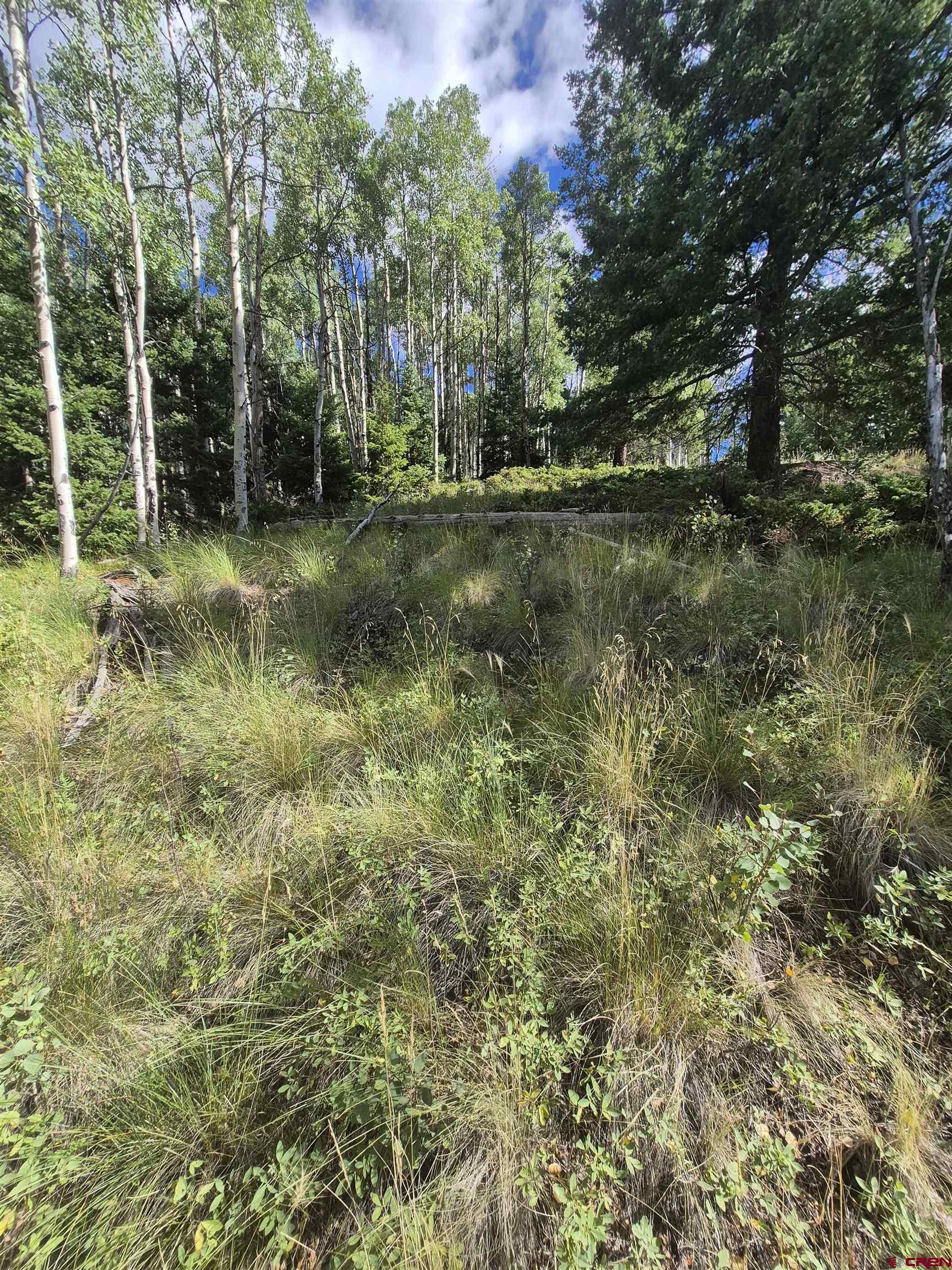 89 Lots 4-6 Del Norte, CO 81132 - Photo 9 of 9 a view of outdoor space and trees