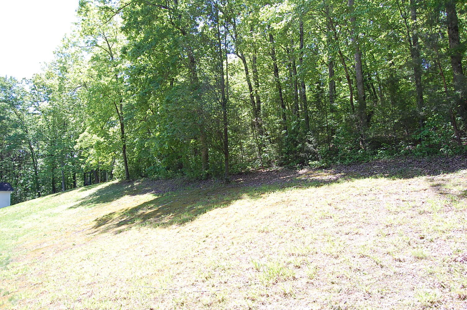 61 Spring Creek Drive Dunlap, TN 37327 - Photo 11 of 53 DSC_0012