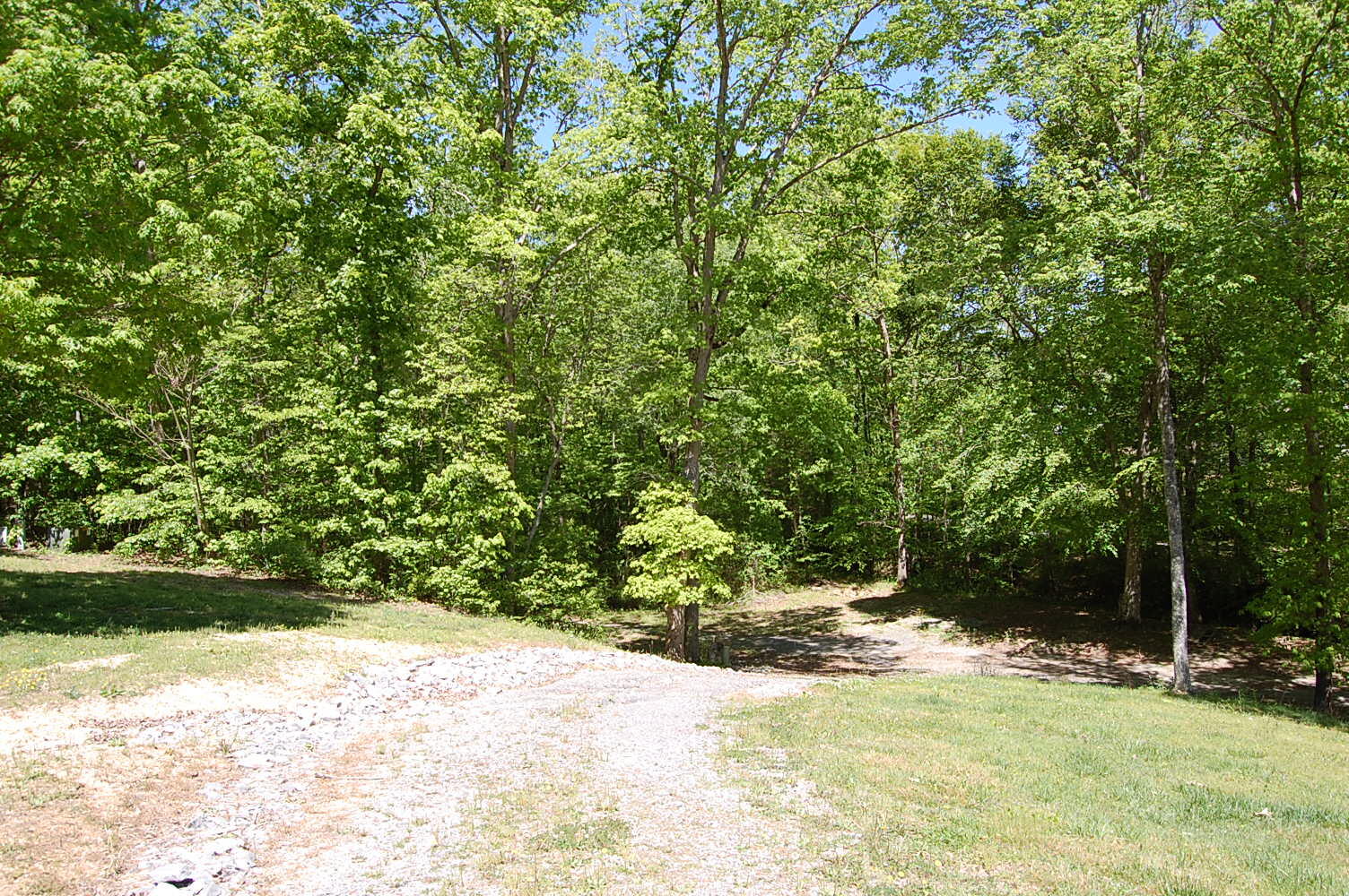 61 Spring Creek Drive Dunlap, TN 37327 - Photo 4 of 53 DSC_0005