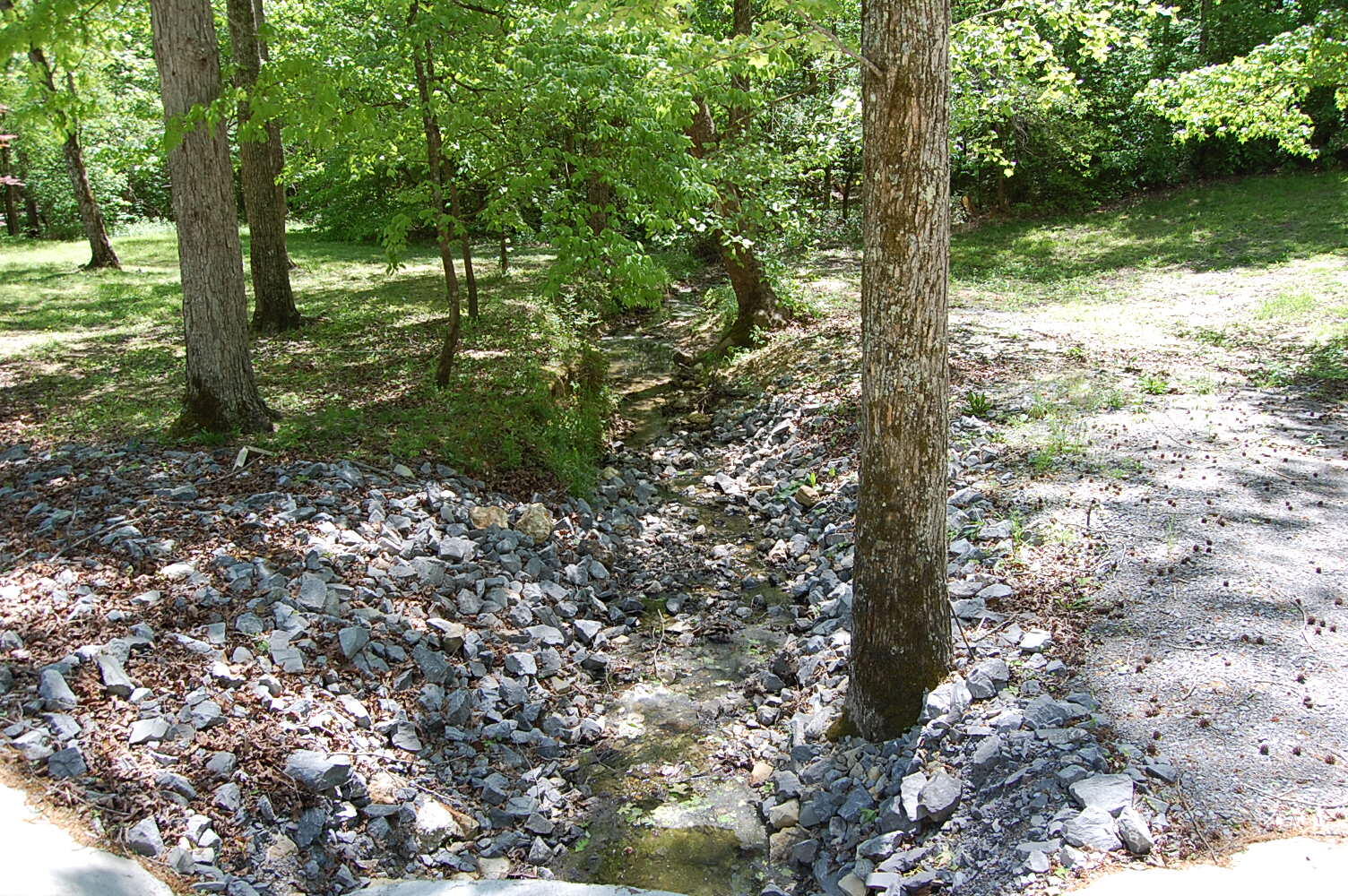 61 Spring Creek Drive Dunlap, TN 37327 - Photo 44 of 53 DSC_0044