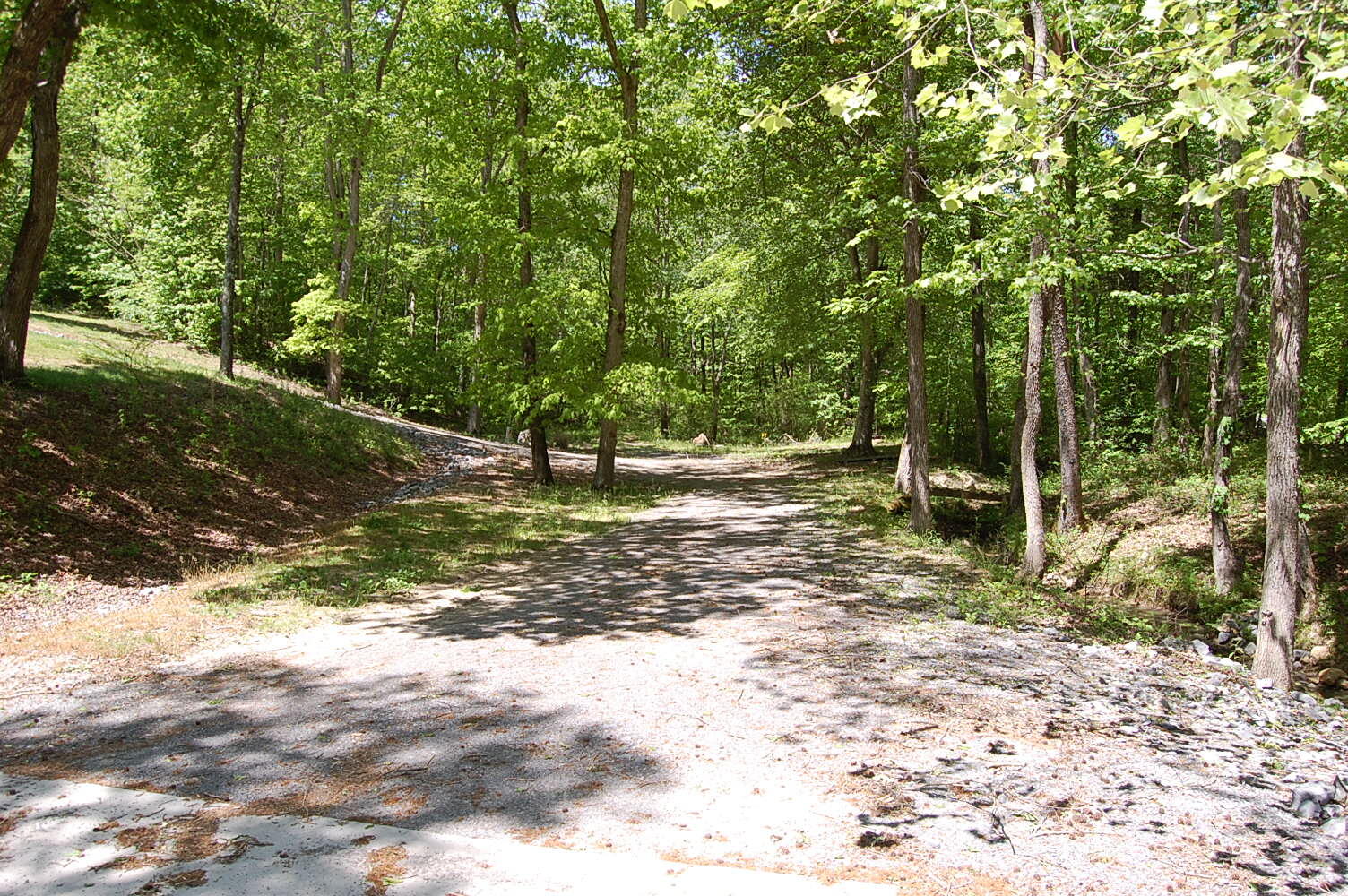 61 Spring Creek Drive Dunlap, TN 37327 - Photo 46 of 53 DSC_0046