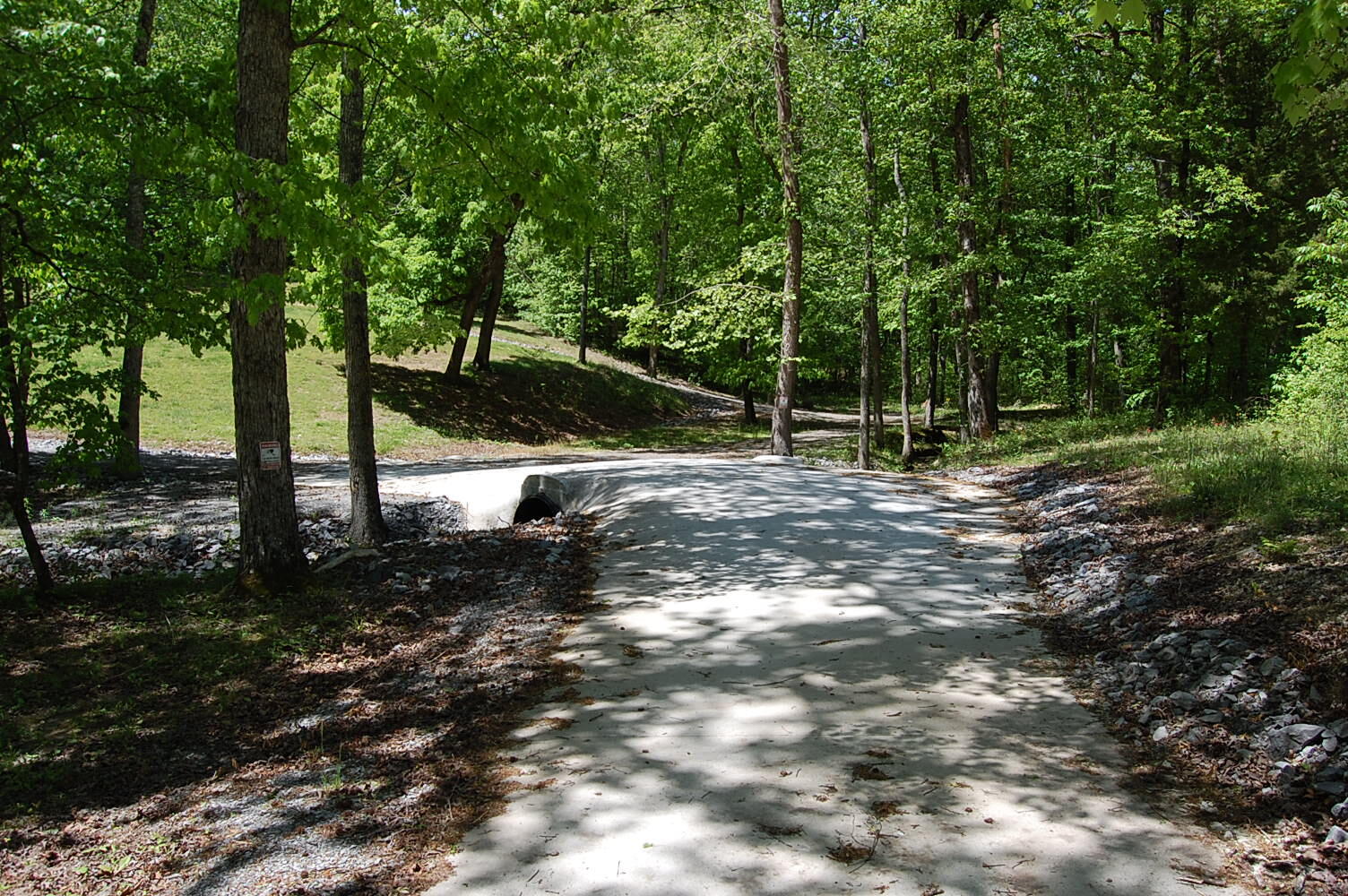 61 Spring Creek Drive Dunlap, TN 37327 - Photo 50 of 53 DSC_0050