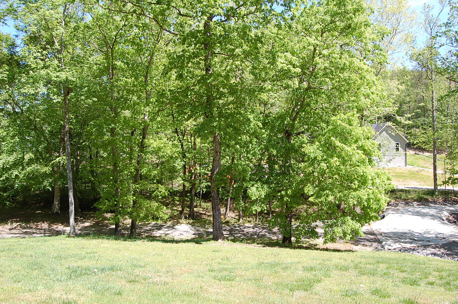 61 Spring Creek Drive Dunlap, TN 37327 - Photo 5 of 53 DSC_0006