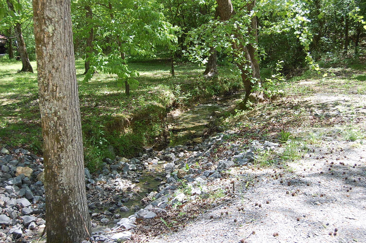 61 Spring Creek Drive Dunlap, TN 37327 - Photo 51 of 53 DSC_0051