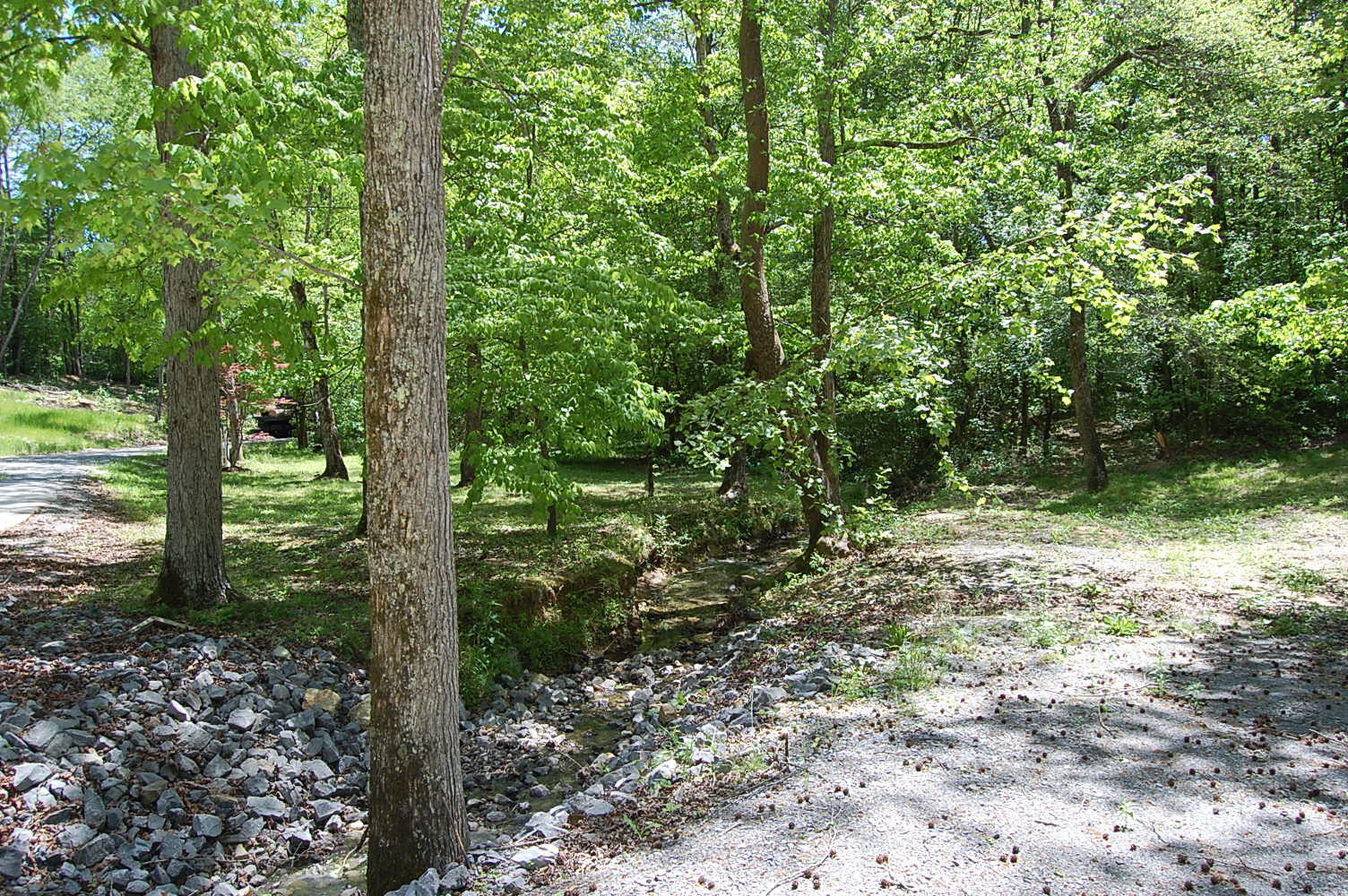 61 Spring Creek Drive Dunlap, TN 37327 - Photo 52 of 53 DSC_0052