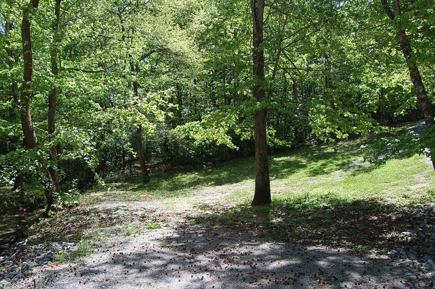 61 Spring Creek Drive Dunlap, TN 37327 - Photo 53 of 53 DSC_0053