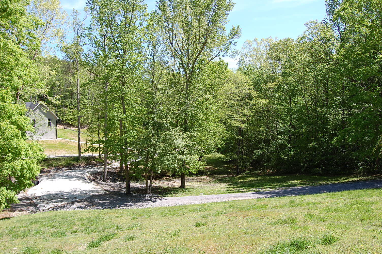 61 Spring Creek Drive Dunlap, TN 37327 - Photo 6 of 53 DSC_0007
