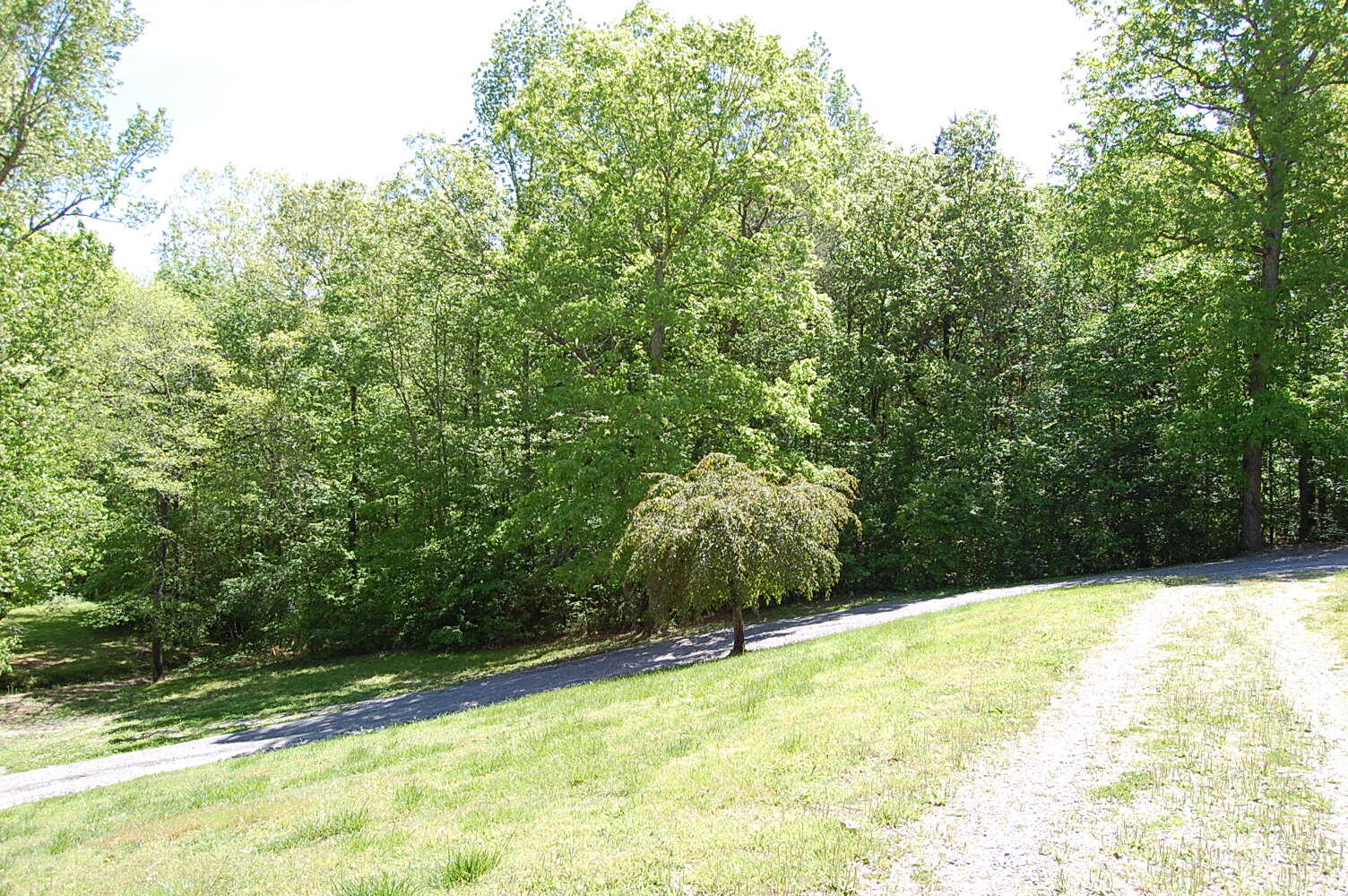 61 Spring Creek Drive Dunlap, TN 37327 - Photo 7 of 53 DSC_0008