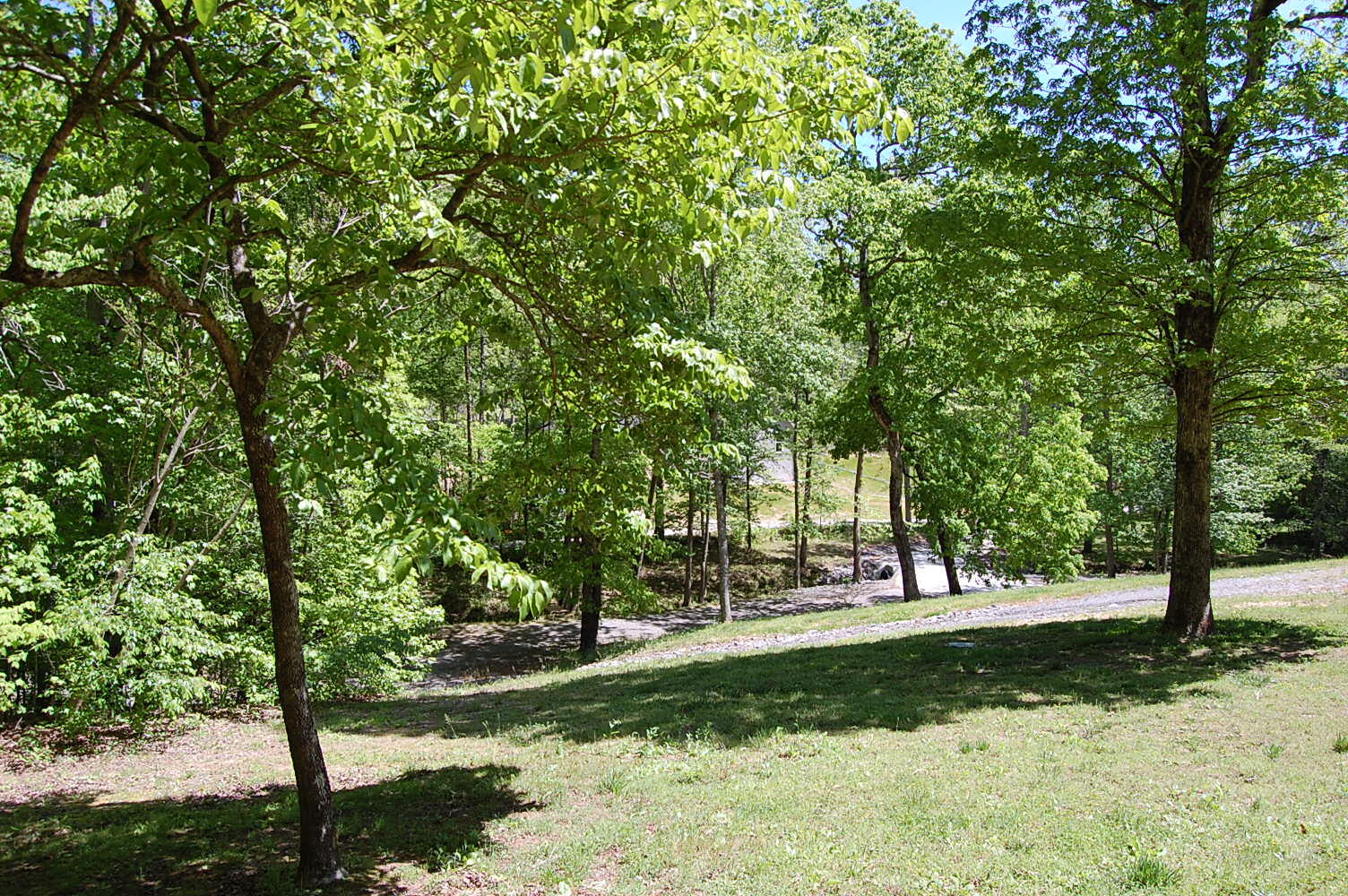 61 Spring Creek Drive Dunlap, TN 37327 - Photo 8 of 53 DSC_0009
