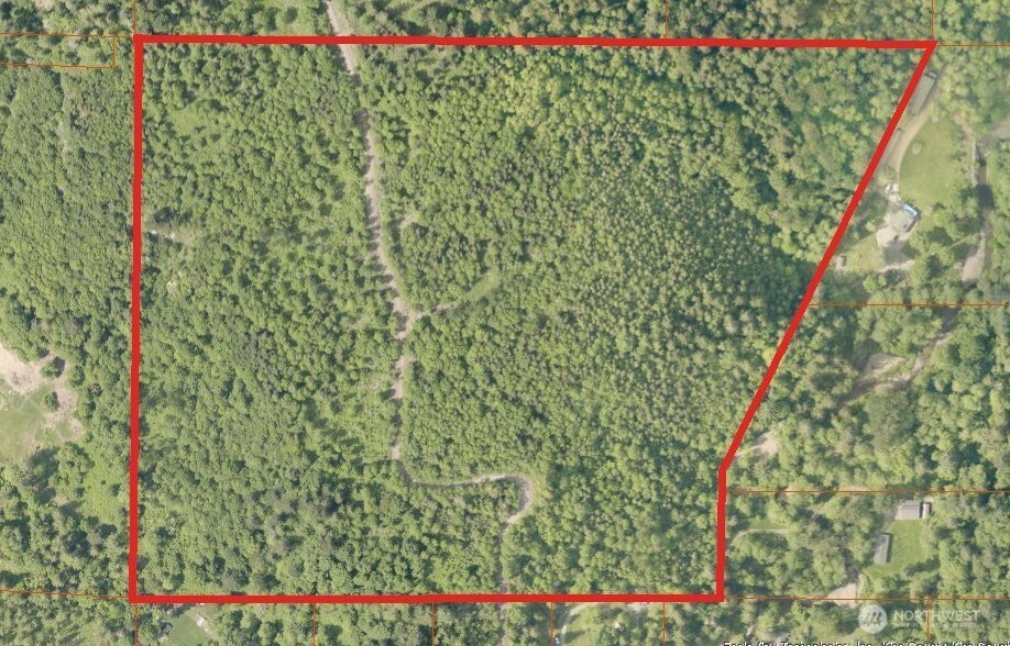 365-xx 365-xx Cumberland Ridge Road Southeast Enumclaw, WA 98022 - Photo 2 of 34 a close up of a plant