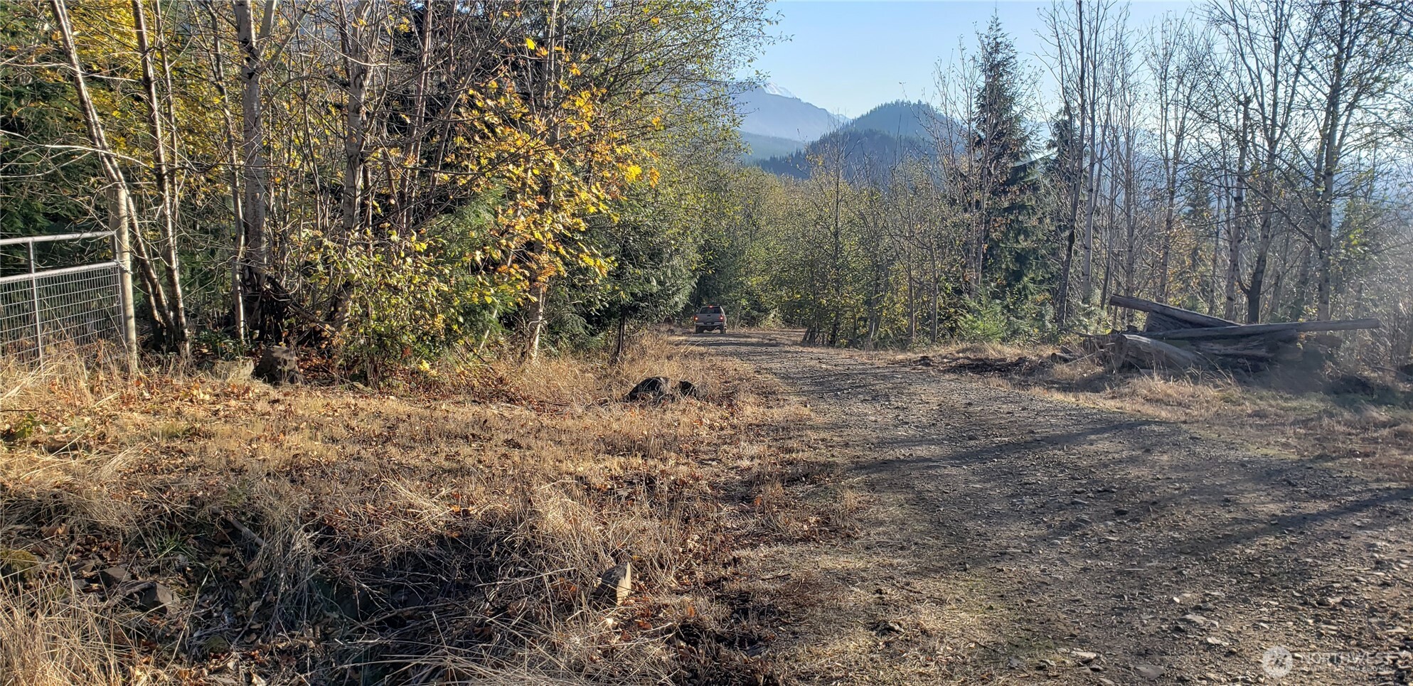 365-xx 365-xx Cumberland Ridge Road Southeast Enumclaw, WA 98022 - Photo 26 of 34 a view of a yard with plants and a trees