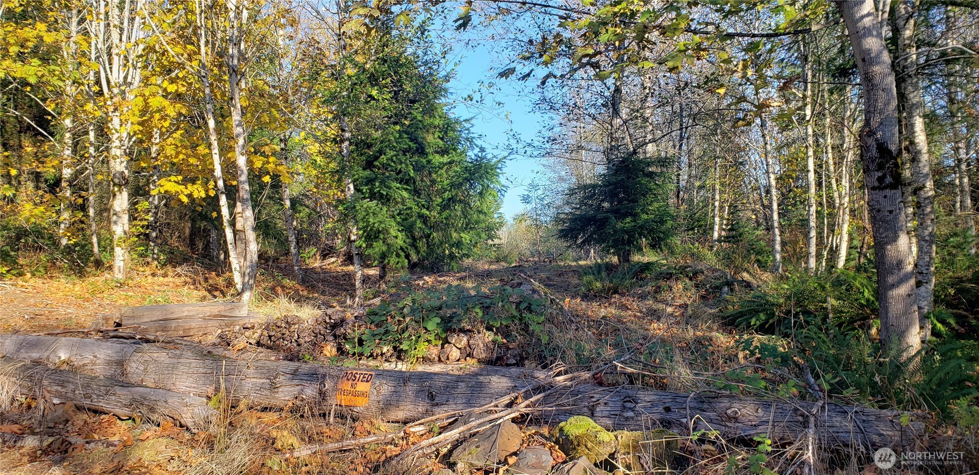365-xx 365-xx Cumberland Ridge Road Southeast Enumclaw, WA 98022 - Photo 27 of 34 a view of backyard with green space
