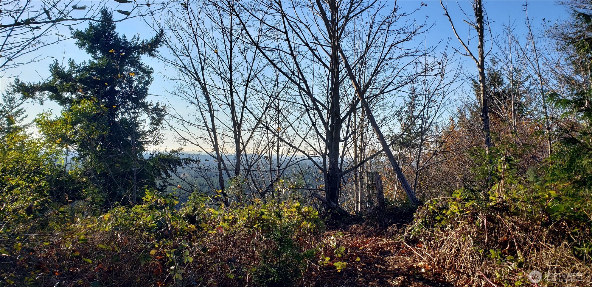 365-xx 365-xx Cumberland Ridge Road Southeast Enumclaw, WA 98022 - Photo 33 of 34 a backyard of a house with lots of green space