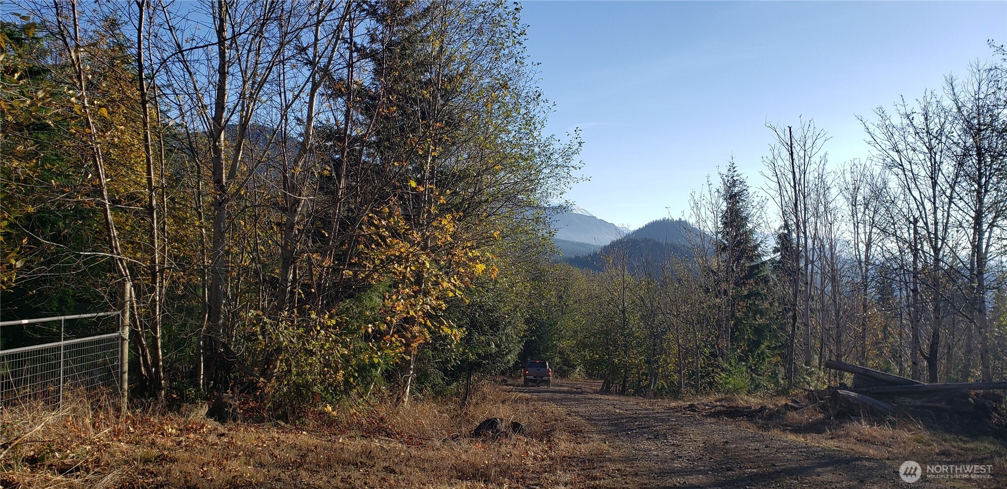 365-xx 365-xx Cumberland Ridge Road Southeast Enumclaw, WA 98022 - Photo 7 of 34 a view of a yard with plants and a trees