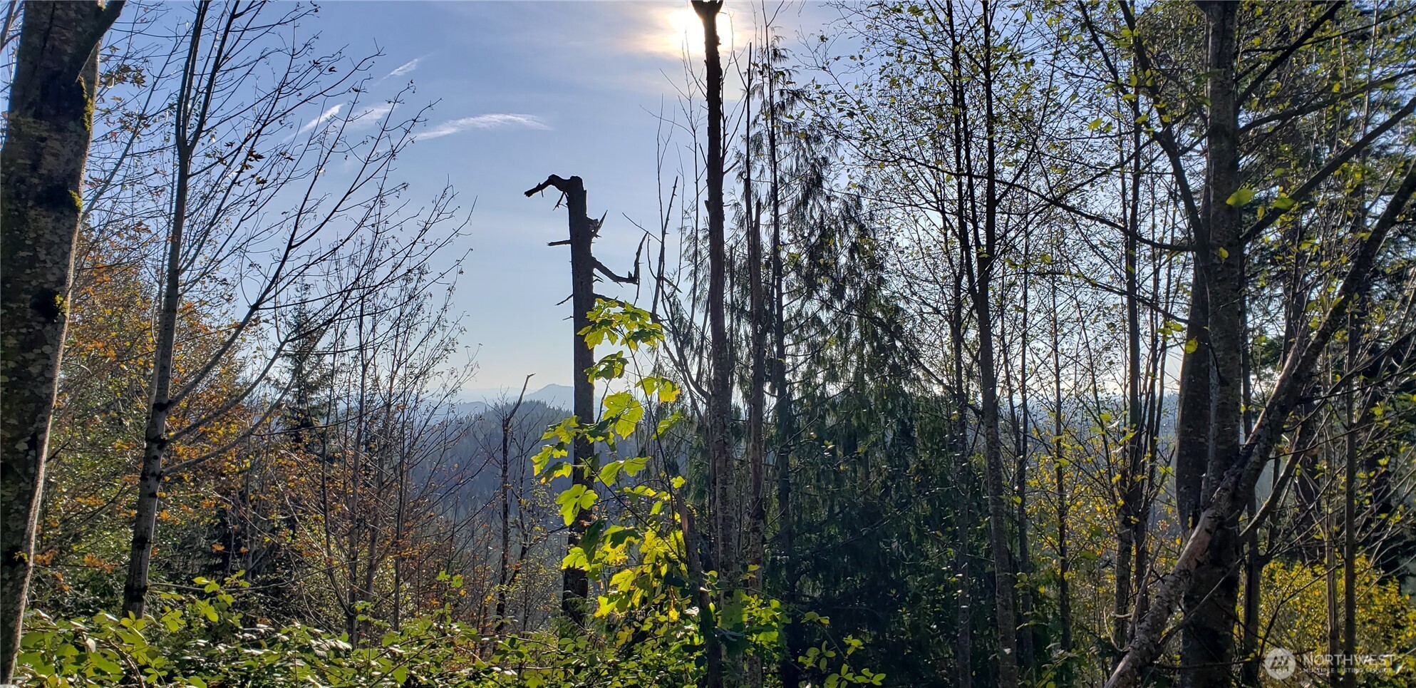 365-xx 365-xx Cumberland Ridge Road Southeast Enumclaw, WA 98022 - Photo 9 of 34 a picture of street view